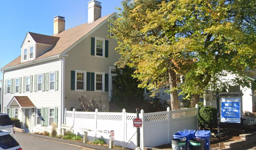 Animal Hospital of Lynnfield