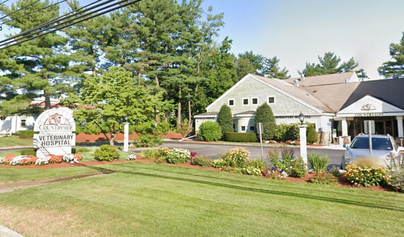 Countryside Veterinary Hospital