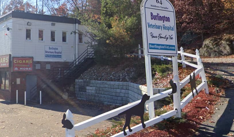 Burlington Veterinary Hospital