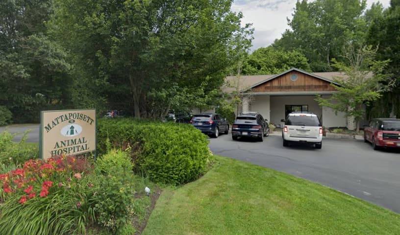 Mattapoisett Animal Hospital