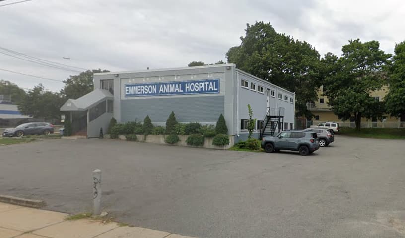 Emmerson Animal Hospital