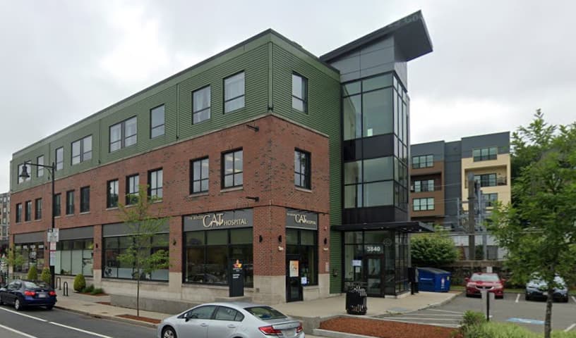 Boston Cat Hospital