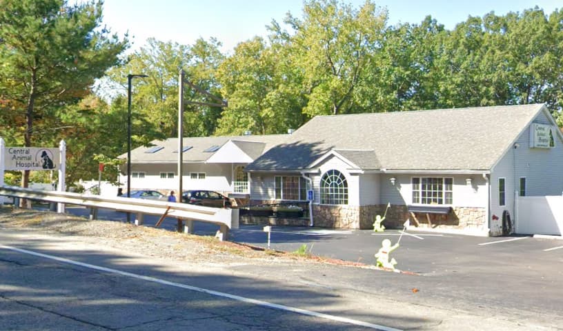 Central Animal Hospital