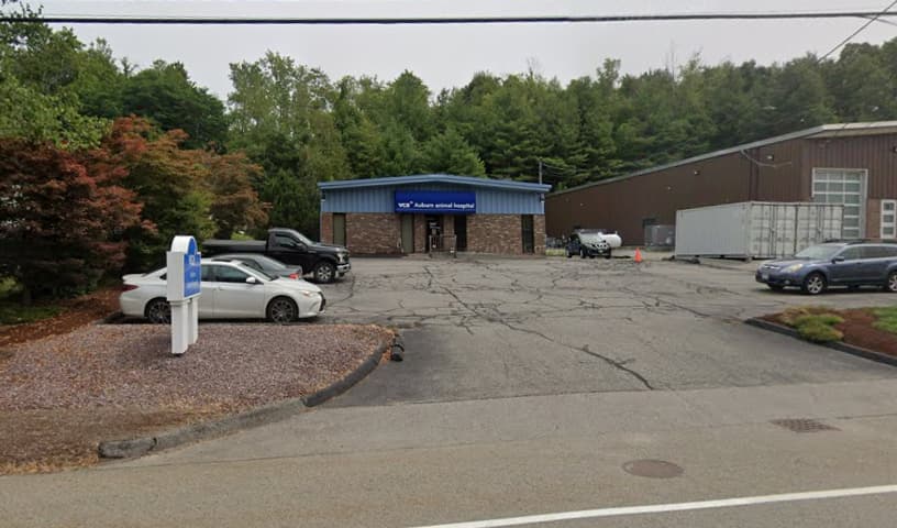Auburn Animal Hospital