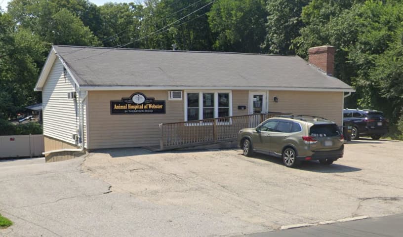 Animal Hospital of Webster