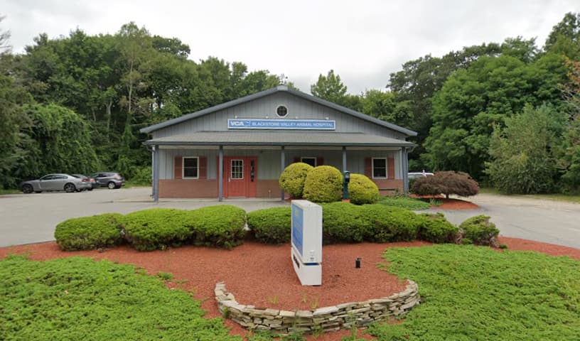 Blackstone Valley Veterinary