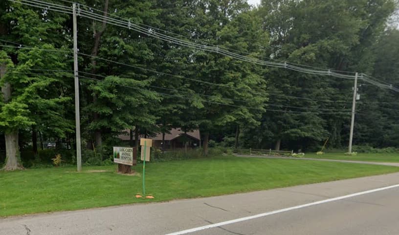 Log Cabin Animal Hospital