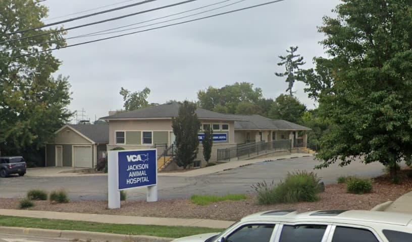 VCA Jackson Animal Hospital