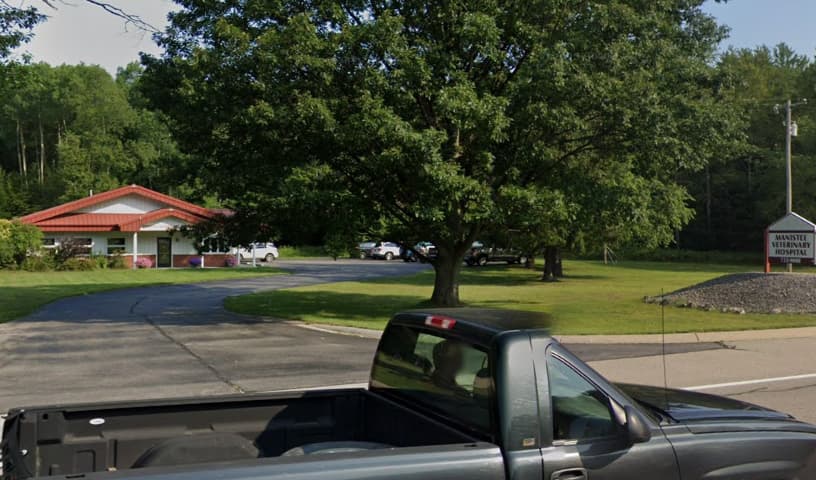 Manistee Veterinary Hospital
