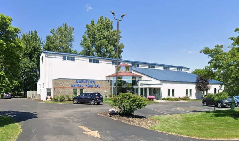 Mapleview Animal Hospital