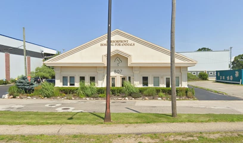 Harborfront Hospital For Animals