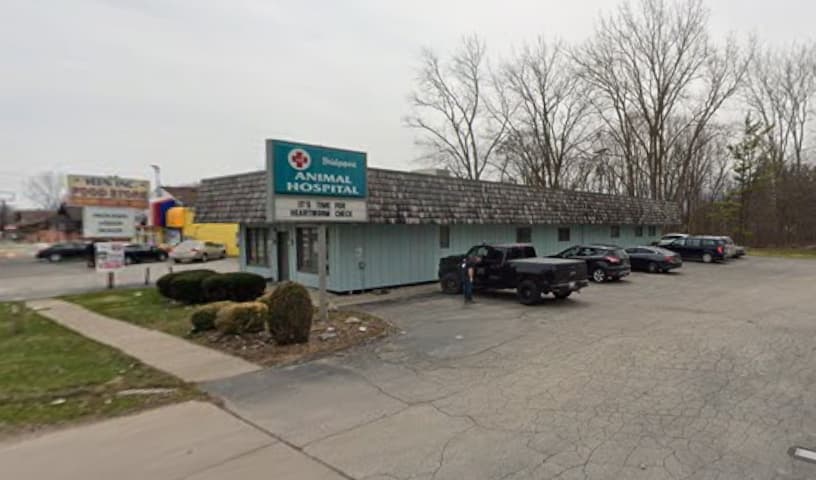 Bridgeport Animal Hospital