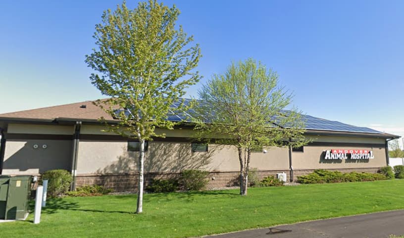 Andover Animal Hospital