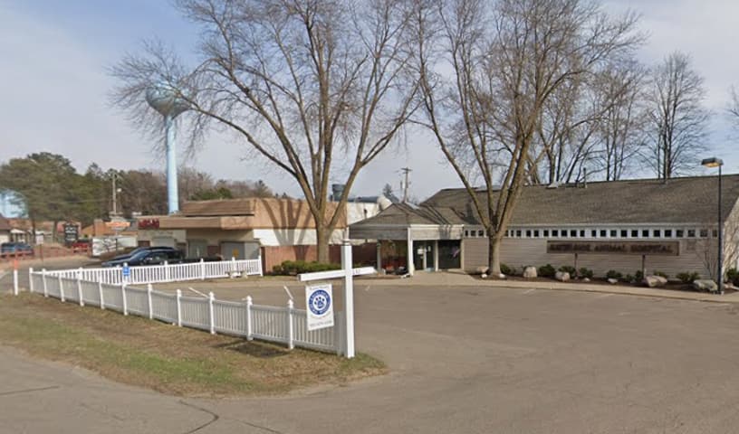 Excelsior Animal Hospital