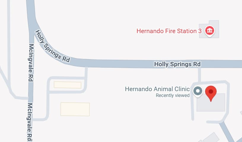 Hernando Animal Clinic