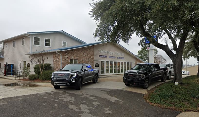 Animal Medical Center of Hattiesburg