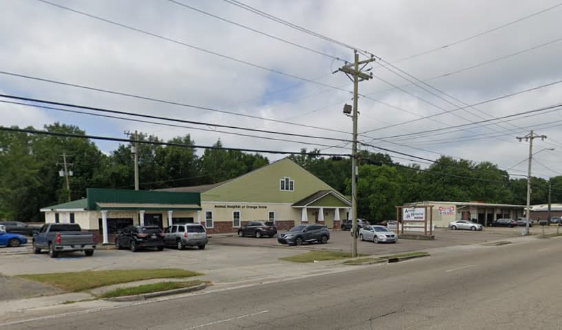 Animal Hospital of Orange Grove