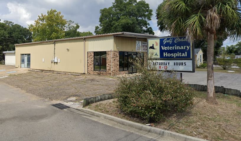 Gulf Coast Veterinary Hospital