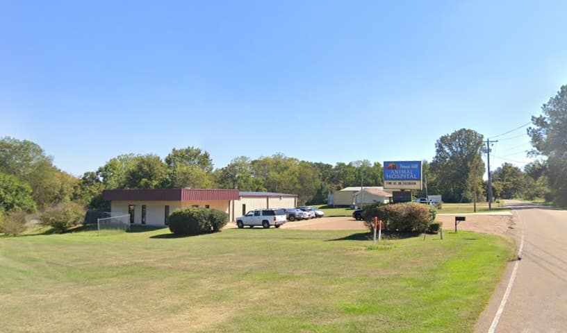 Forest Hill Animal Hospital