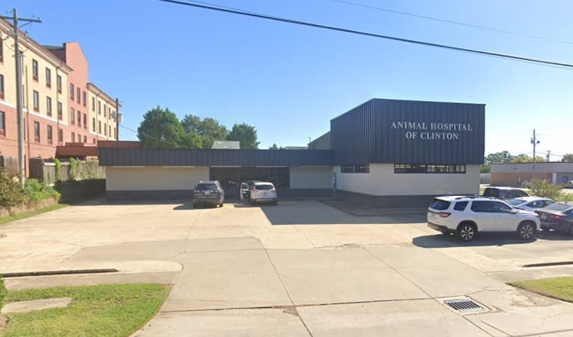 Animal Hospital of Clinton
