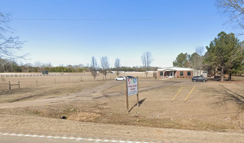 Village Animal Hospital