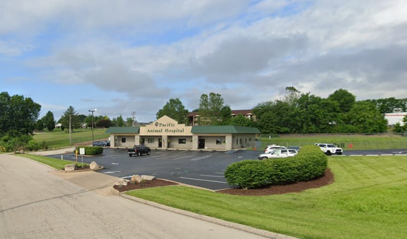 Pacific Animal Hospital