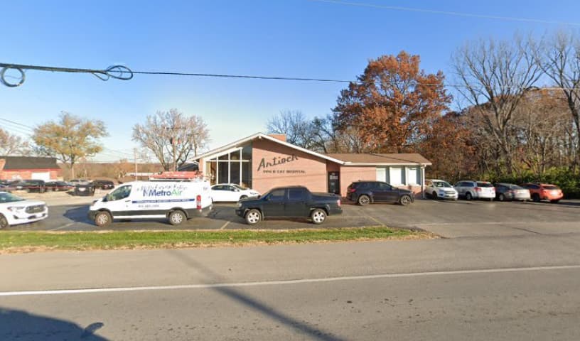 Antioch Dog & Cat Hospital