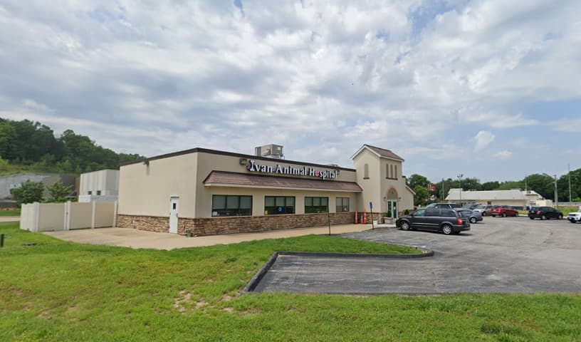 Ivan Animal Hospital