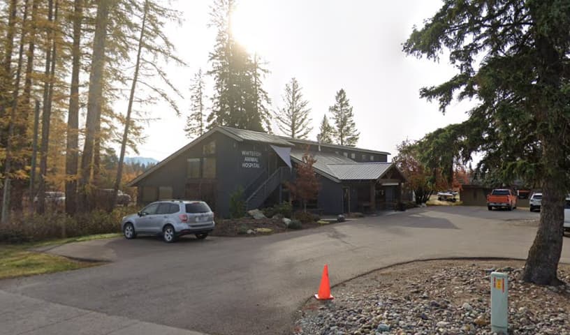 Whitefish Animal Hospital
