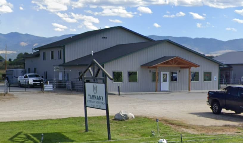 Tammany Veterinary Hospital