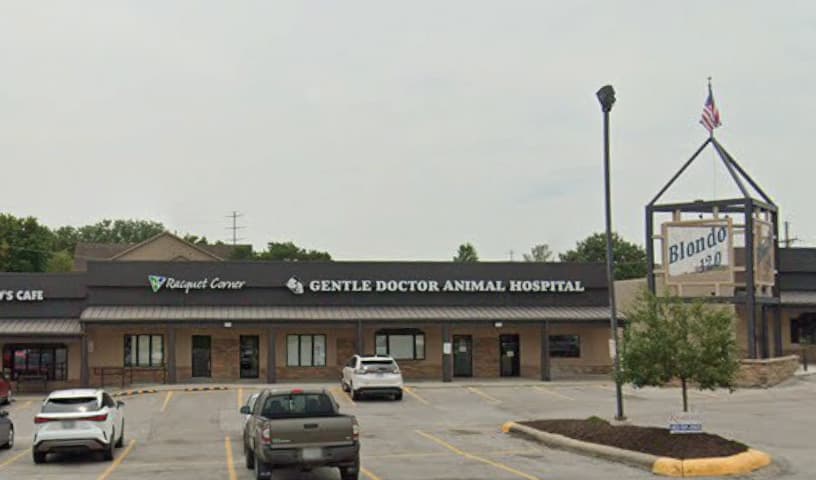 Gentle Doctor Animal Hospital