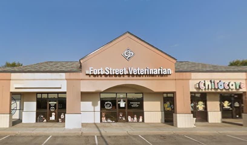 Fort Street Veterinarian