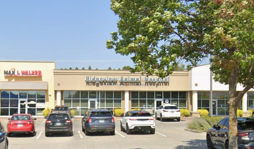 Ridgeview Animal Hospital
