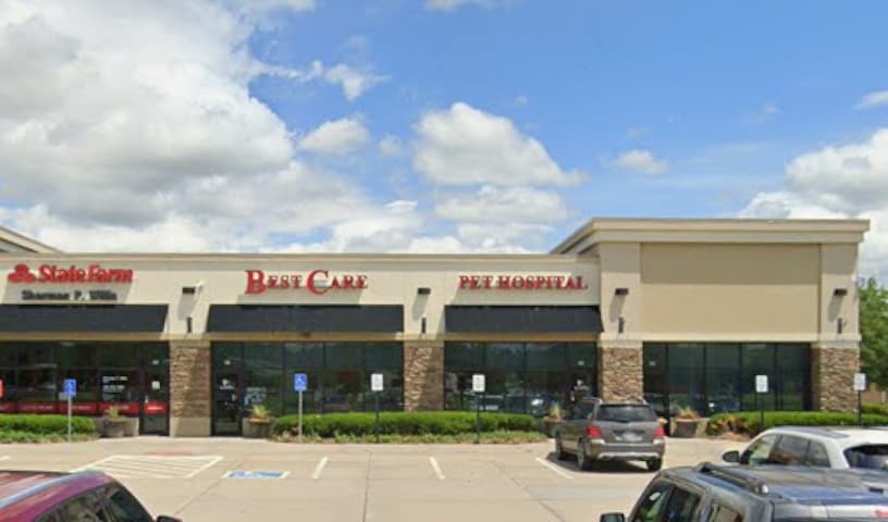 Best Care Pet Hospital