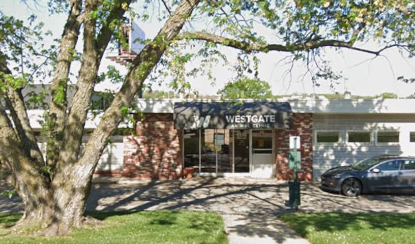 Westgate Animal Clinic