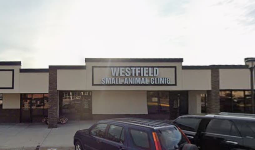 Westfield Small Animal Clinic
