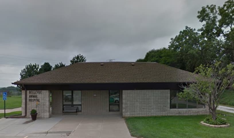 Bellevue Animal Hospital PC