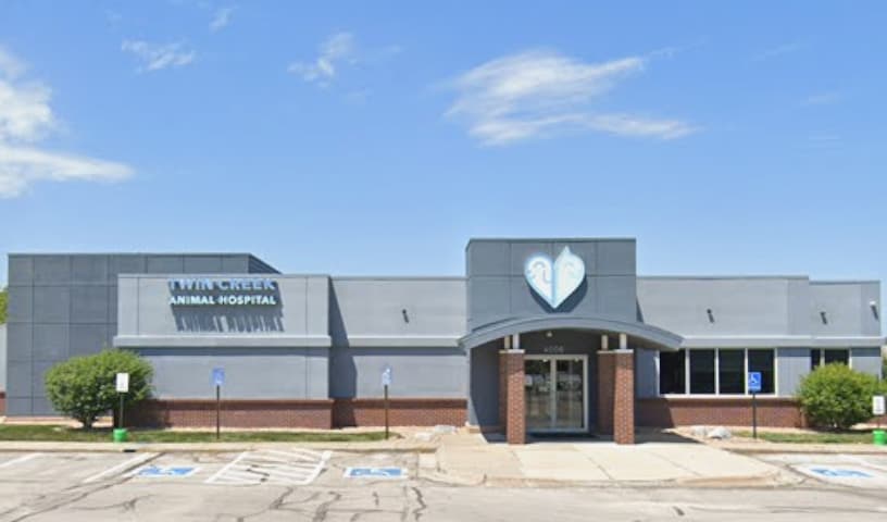 Twin Creek Animal Hospital