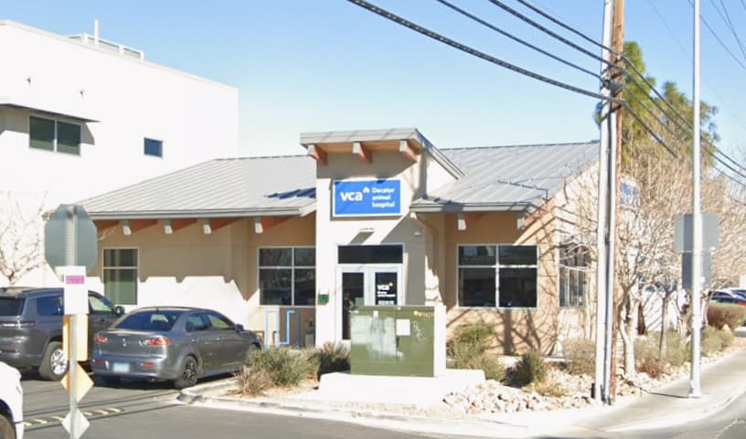 VCA Decatur Animal Hospital
