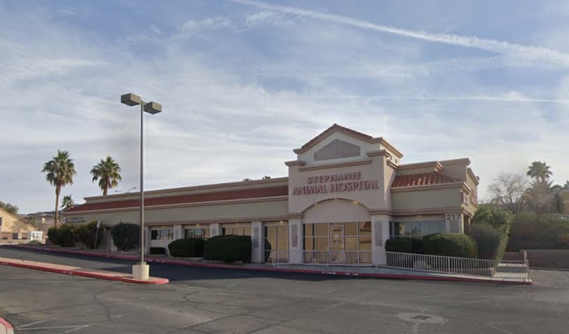 Stephanie Animal Hospital