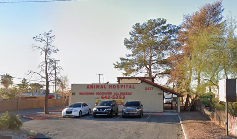 Doc Mo's Kindred Spirits Animal Hospital