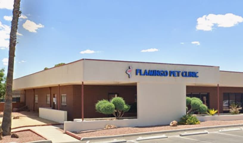 Flamingo Pet Clinic