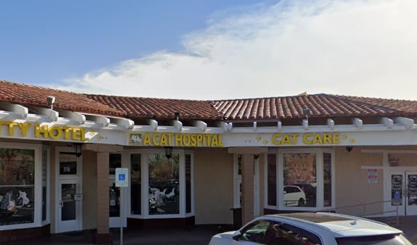 A Cat Hospital
