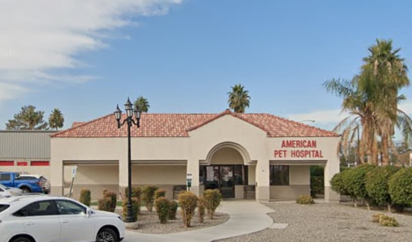 American Pet Hospital