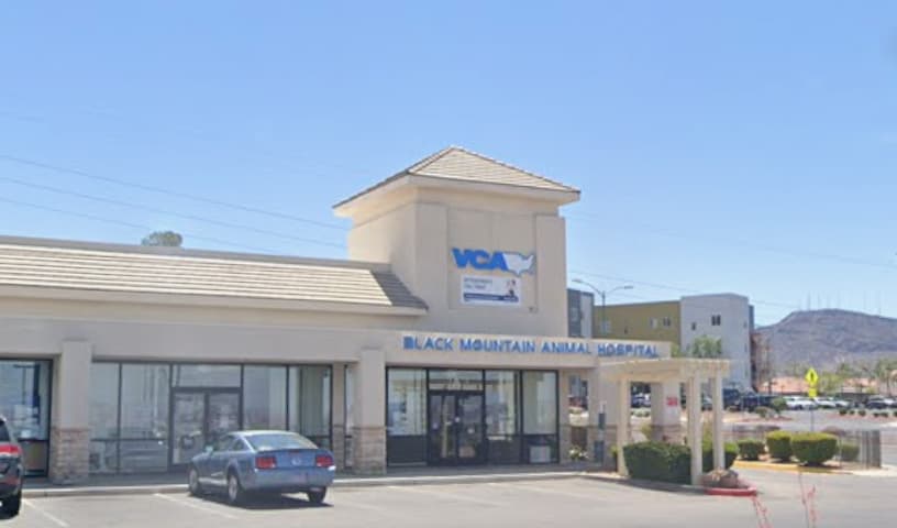VCA Black Mountain Animal Hospital