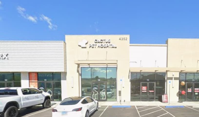 Cactus Pet Hospital