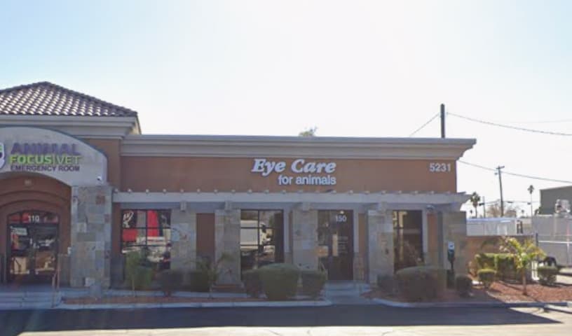 Eye Care for Animals - Las Vegas