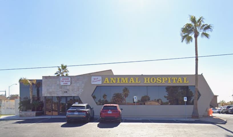 West Flamingo Animal Hospital
