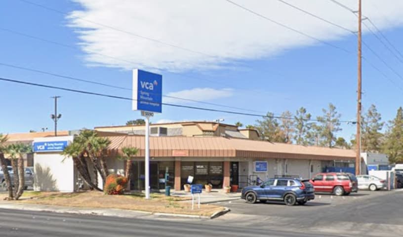 VCA Spring Mountain Animal Hospital