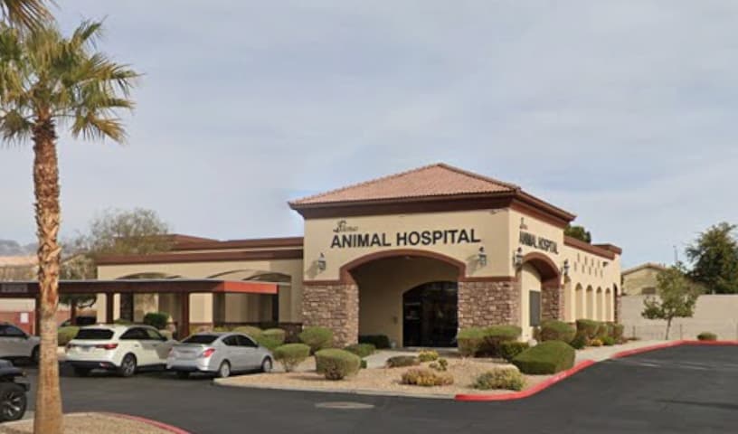 Siena Animal Hospital